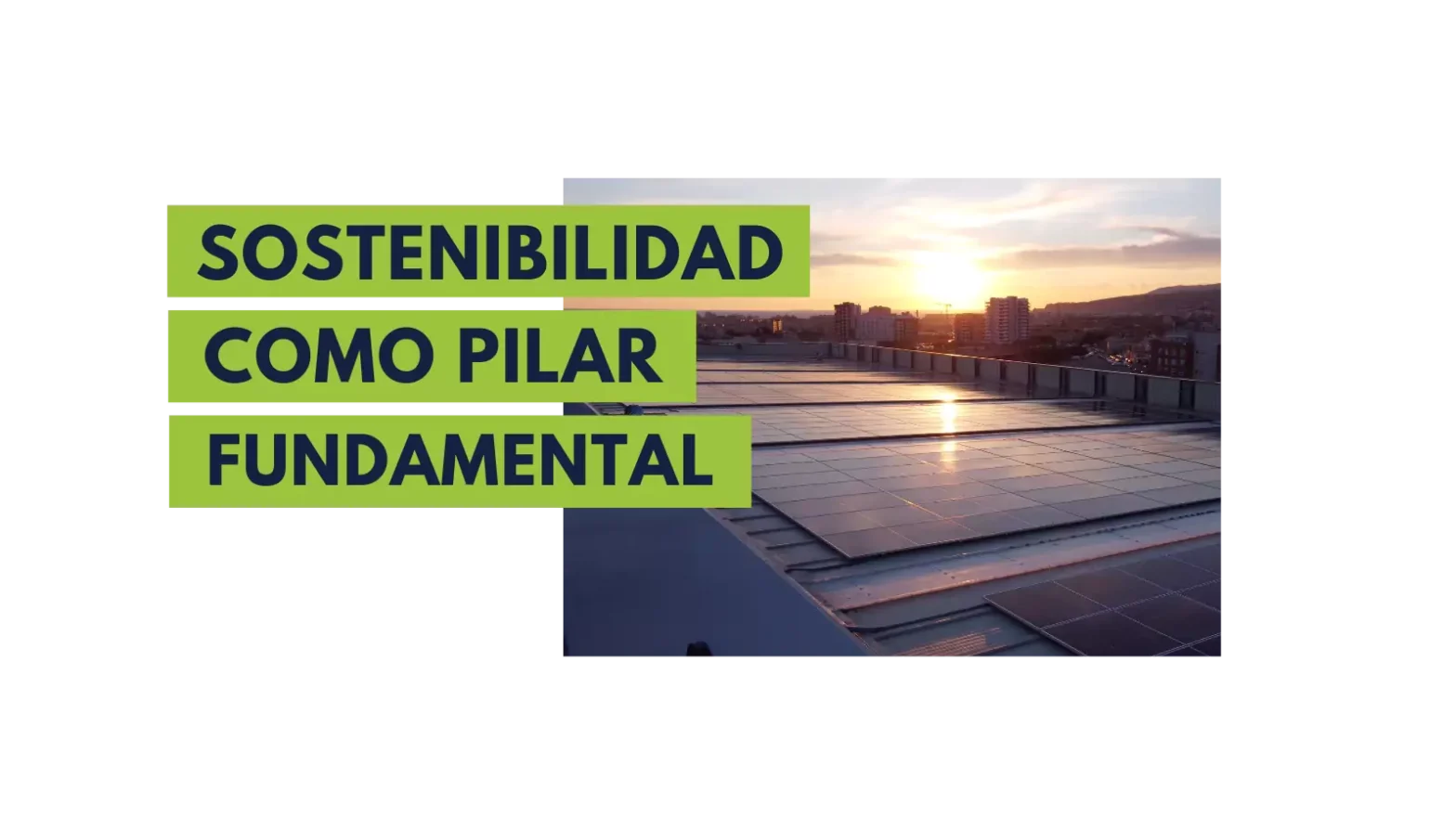 Sostenibilidad en Goucargo