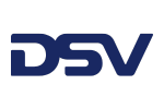 dsv logo