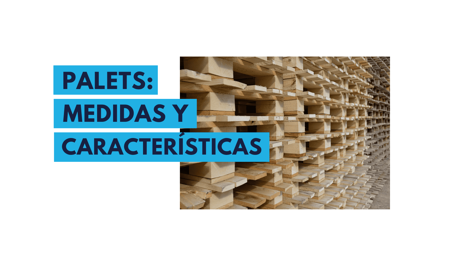 Distintos tipos de palets logísticos